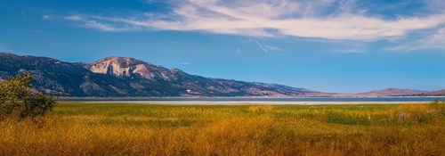 Hormone Optimization